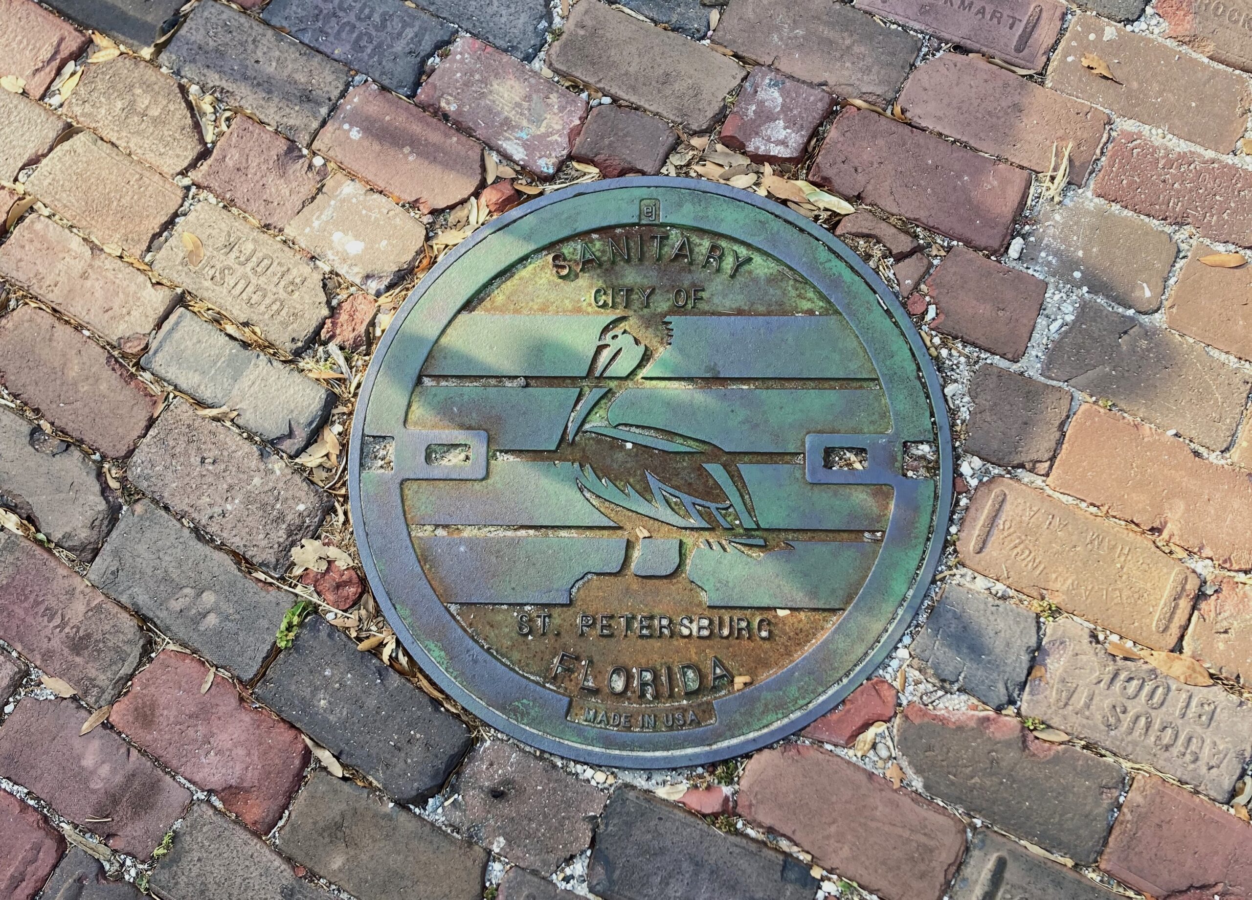 manhole cover with patina and pelican on sewer in St. Petersburg