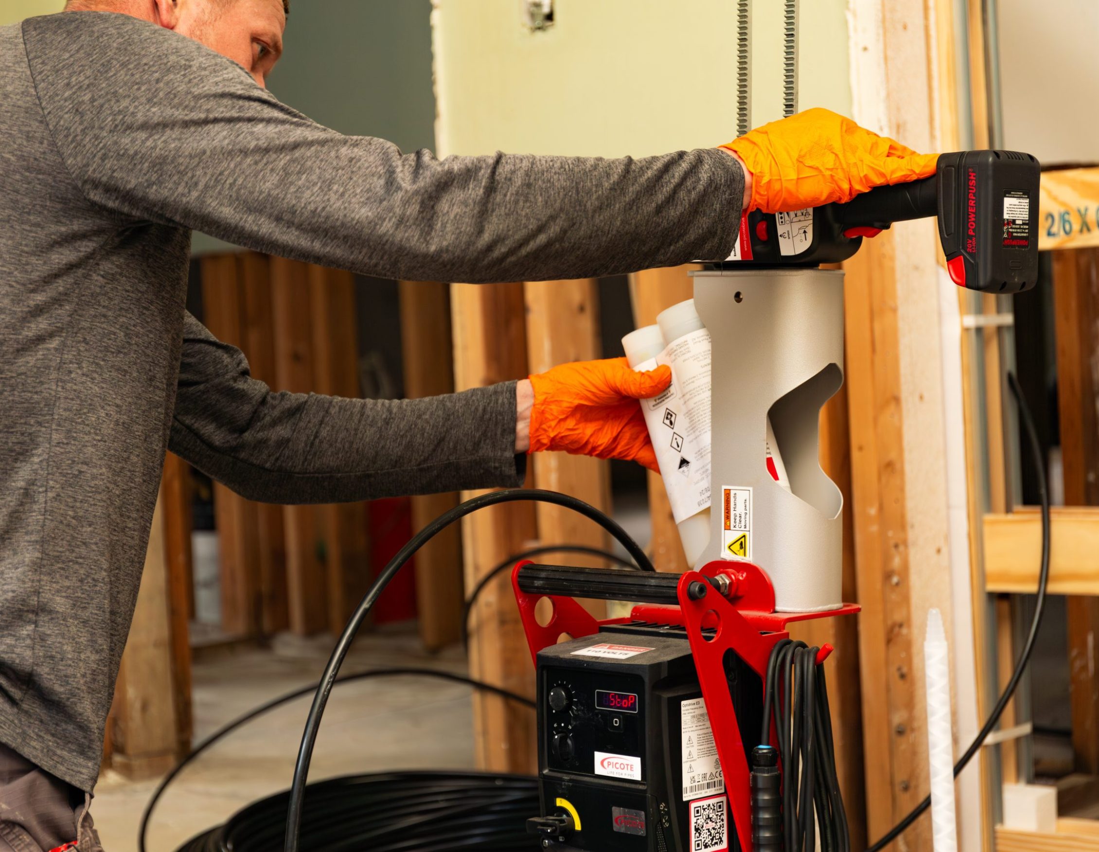 About-us-coral-pelican